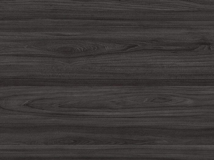 Lucerne Elm