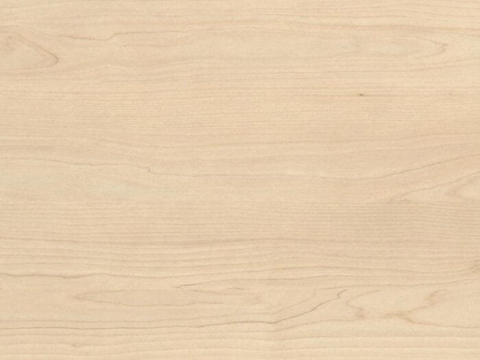 Sand Birch