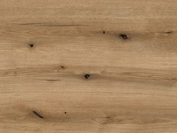 Coast Evoke Oak